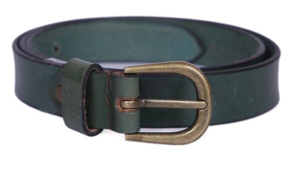 Pride Belt
